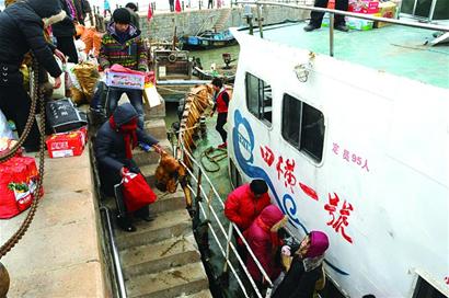 田橫島漁民坐船趕大集 殺豬宰雞貼紅福年味濃 田橫島漁民坐船趕大集 殺豬宰雞貼紅福年味濃