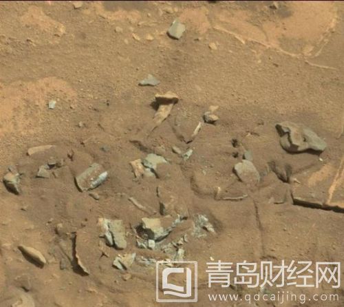 火星“股骨”
