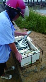 今日開海2萬漁船出海 市民下午就可嘗鮮