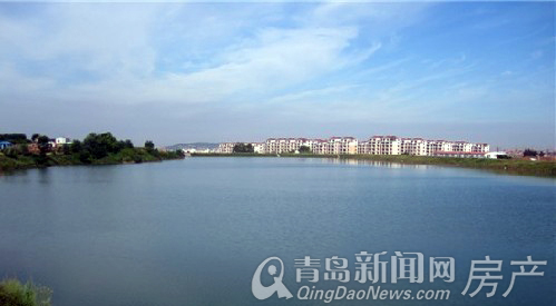 青島,樓市,抄底,樓盤,定價 青島,樓市,抄底,樓盤,定價