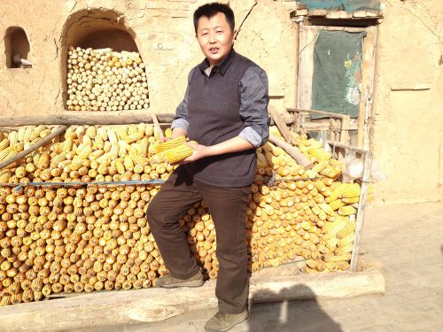 8位生態(tài)角色代表-敲鐘人-資料_20140919阿里巴巴紐交所上市敲鐘人-王志強(qiáng)(農(nóng)民網(wǎng)商)