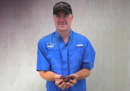 8位生態(tài)角色代表-敲鐘人-資料_20140919阿里巴巴紐交所上市敲鐘人-Peter