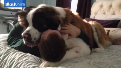 將主人壓在身下猛親