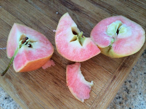 果肉為粉色的蘋果