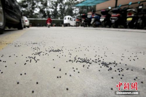 圖片來源:CFP視覺中國