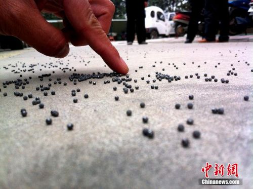 圖片來源:CFP視覺中國