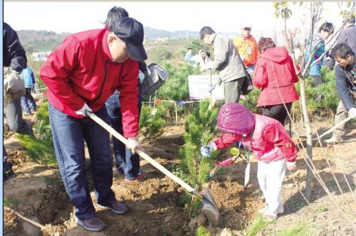 QQ圖片20141103194843