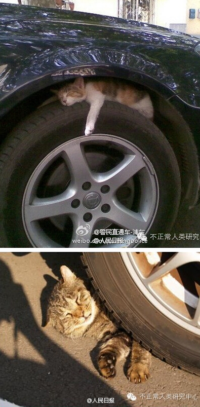 QQ截圖20141104074121