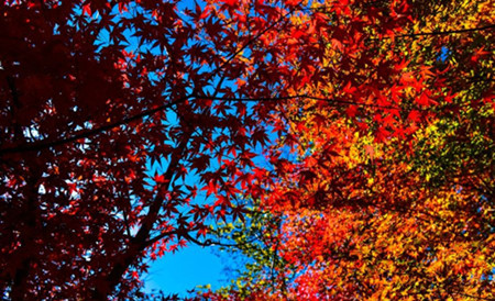 1415063017201_副本