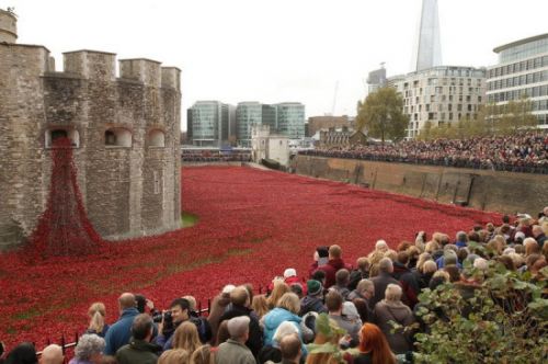 倫敦塔推出的&ldquo;罌粟花海&rdquo;特展，3個月來吸引近400萬人爭睹。