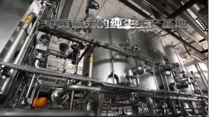 clip_image002