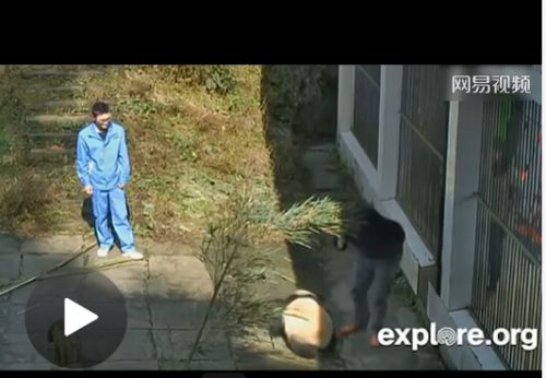 QQ截圖20141122100756