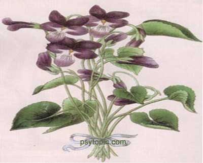 2011年04月06日 - 心靈氧吧 - 心靈氧吧