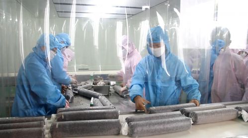 華盛綠能菌包工廠