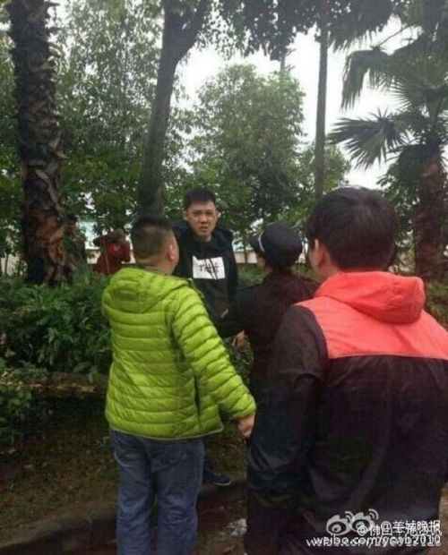 佛山一法拉利撞斷大樹 400多萬元車子斷成兩截(圖)