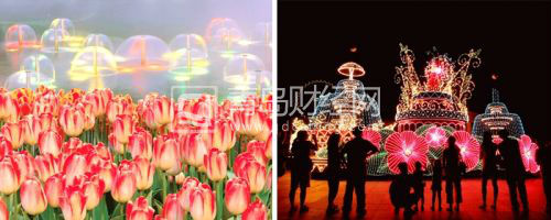 愛寶樂園郁金香慶典1