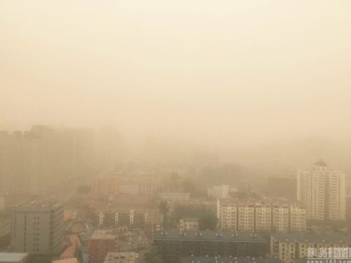 900x600_AN8SRENI00AP0001