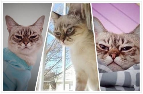 u=1361330628,2913090856&fm=21&gp=0_副本_副本