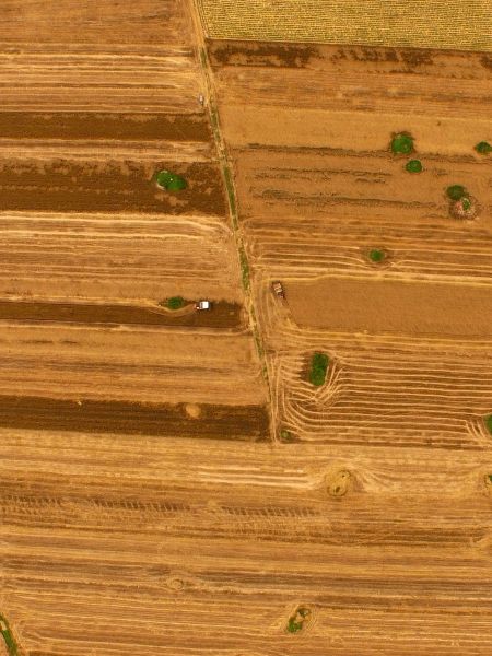 這是5月28日在河南省南陽市唐河縣甘河灣村航拍的麥?zhǔn)宅F(xiàn)場。