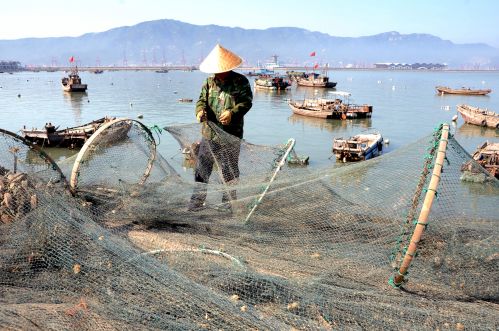 黃渤海開始伏季休漁2