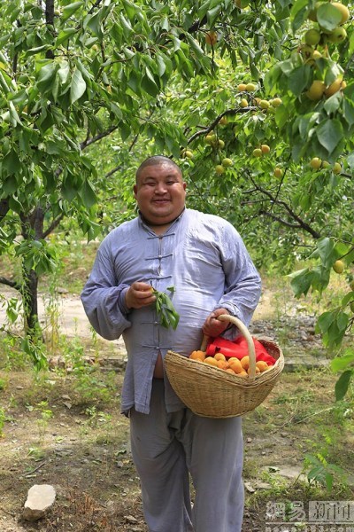 900x600_AS5295IE00AP0001