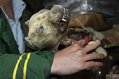 900x600_ANAE6RE300AP0001