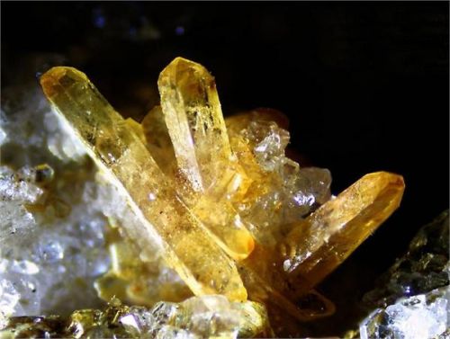 6大稀土集團整合將完成 稀土行業發展趨勢分析