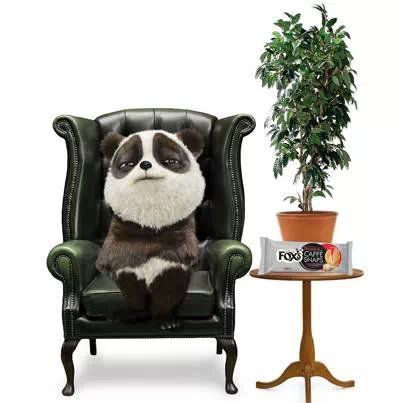 你對曲奇的疑惑全在這里了!