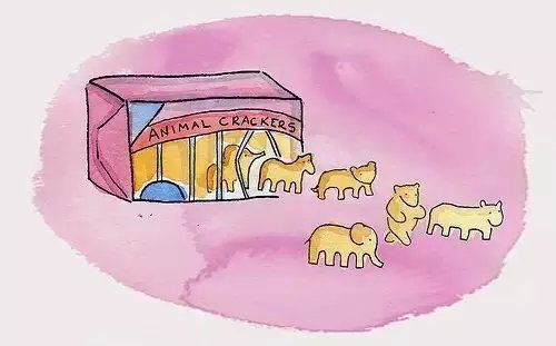 你對曲奇的疑惑全在這里了!