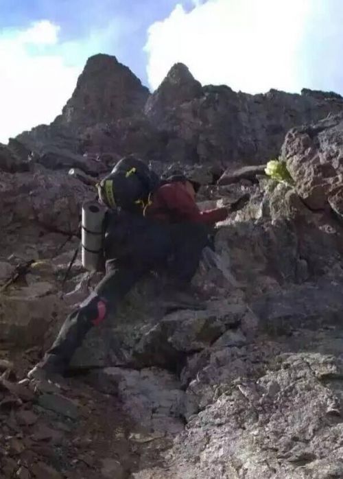 驢友在新疆天山非法采摘雪蓮惹眾怒 警方已介入