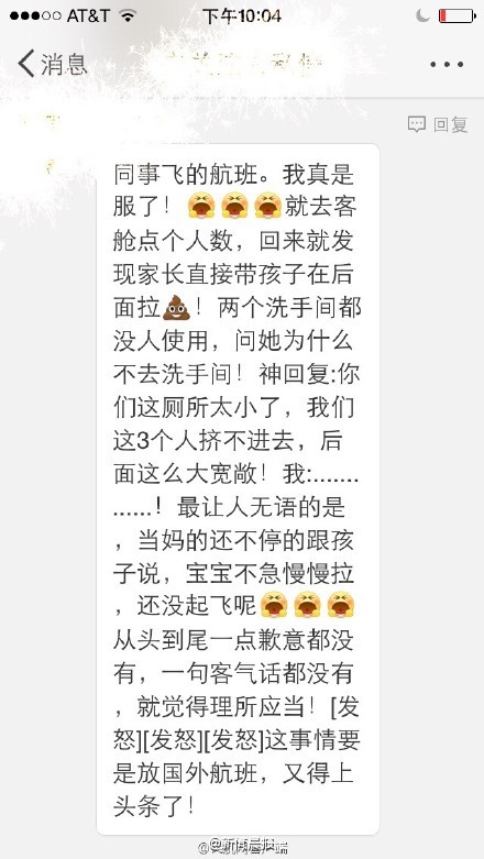 旅客帶小孩在飛機后艙大便 稱廁所太小(圖)