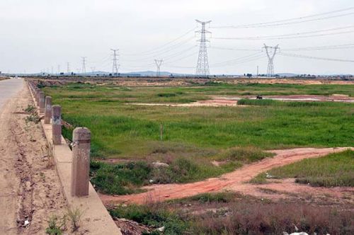 小沽河大桥
