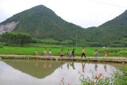 9月8日，在廣西武宣縣通挽鎮祿貴屯，覃曉靜（右三）護送學生走過一個水塘。