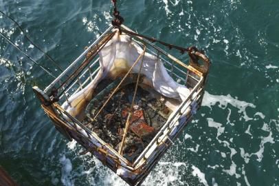 10月4日,“丹東一號”再次出水一批水下文物,這是本次打撈出水的“致遠艦”舷窗。