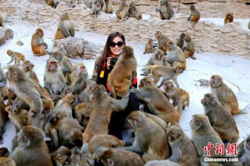 &ldquo;流氓&rdquo;野猴&ldquo;騷擾&rdquo;小女生