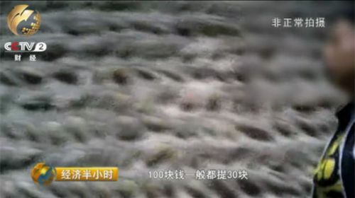 央視曝光峨眉山購物團