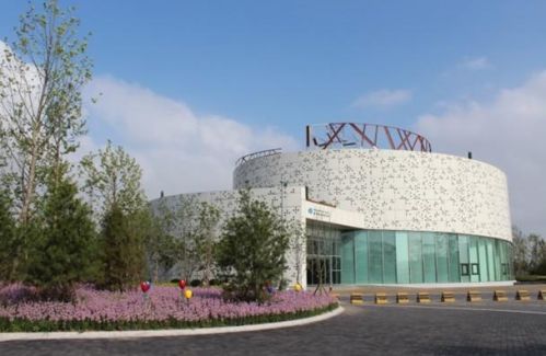 图片3