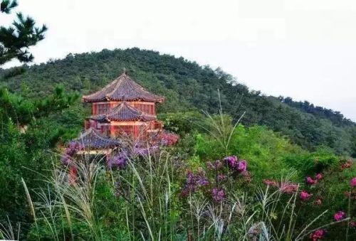 图片3
