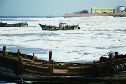 青島市區(qū)一夜入冰窖 北九水冰瀑高達(dá)10米