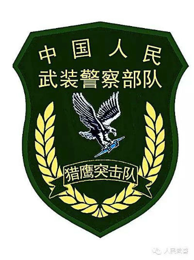 武警部隊統一更換新式標志服飾,新式臂章有五點不同