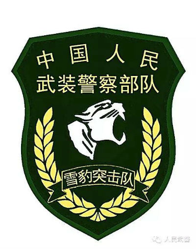 武警部隊統一更換新式標志服飾,新式臂章有五點不同