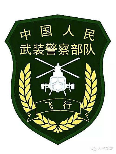 武警部隊統一更換新式標志服飾,新式臂章有五點不同