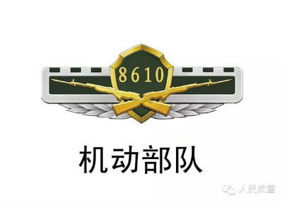 武警部隊統一更換新式標志服飾,新式臂章有五點不同