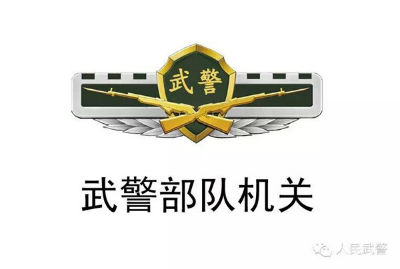 武警部隊統一更換新式標志服飾,新式臂章有五點不同