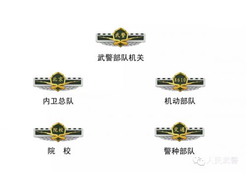 新式姓名牌尺寸、字體與軍隊一致,底色保留原深橄欖綠色。新式胸標分金屬和織嘜兩款九類,用“武警”、“北京”、“8610(機動部隊代號)”、“院校”、“交通”等字樣區分單位,胸標中心圖案由盾牌和雙槍構成,雙槍以56式半自動步槍為原型,象征軍事屬性,左右兩側為長城象形設計,象征武警部隊是國家武裝力量的組成部分,盾牌是武警部隊的特色符號,盾牌下配橄欖枝,寓意和平穩定。