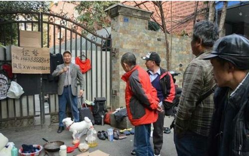 成都男子街頭露家底征婚 鍋碗瓢盆和只狗(圖)