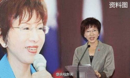 洪秀柱成國民黨史上首位女主席 得票過半 洪秀柱成國民黨史上首位女主席 得票過半