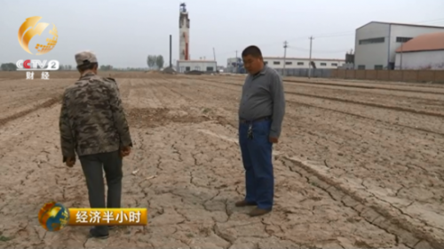 現在，李洪生正和技術人員討論還能種一些什么作物，但是面對著400畝鹽堿地，他們苦無對策。