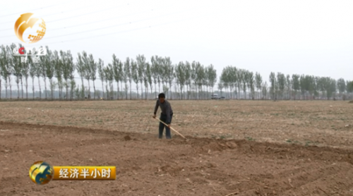 每畝地三次施肥要支出300元左右，噴農藥12次支出70元，這僅僅是物料的成本，而人工成本可就高得多了。