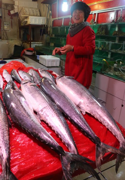 鲅魚價(jià)格小幅下跌03